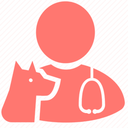 icon2