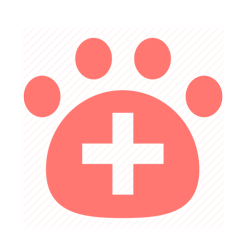 icon3