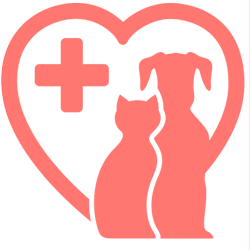 icon3